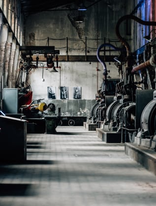 Gestion parasitaire - Extermination Industriel